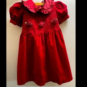 Vintage velvet gorgeous dress